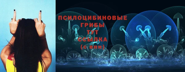 сатива Богородск