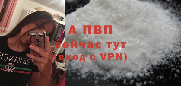 стаф Богородицк