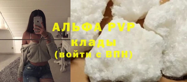 стаф Богородицк