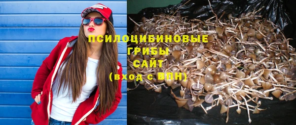 стаф Богородицк