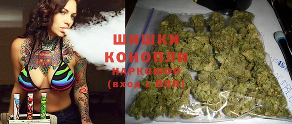 стаф Богородицк