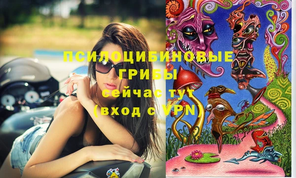 меф Белокуриха