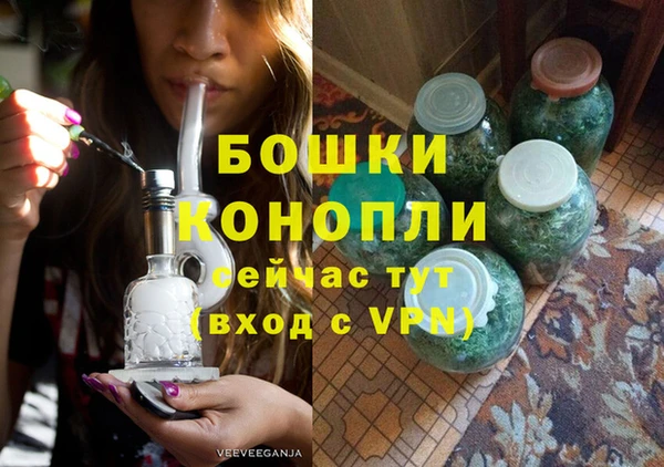 сатива Богородск